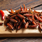 **

A close-up shot of crispy cricket snacks seasoned with sweet paprika, garlic, and a hint of chili, displayed on a rustic wooden board. Focus on the textures and colors of the spices.

**